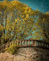 Nicolas DANISZEWSKI - STUDIO MASWANI